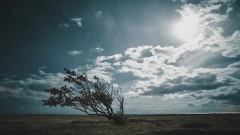 Dramatic timelapse Video stock 263135202