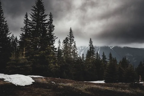 Dramatic timelapse before rain Stock Footage 109798729