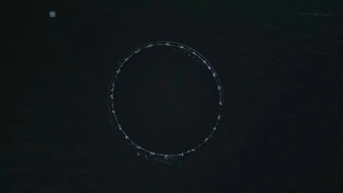 Dramatic top down view of an Atlantic Salmon cage in a fish farm in Scotland Stock Footage 326033879