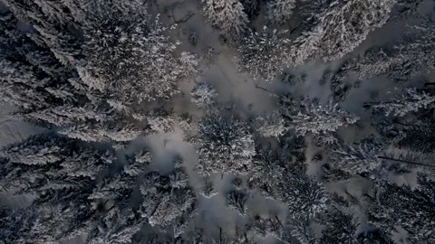 Dramatic top-down view snow-covered forest. aerial view drone taking off upwards Stock Footage 306381528