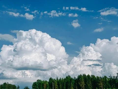 Dramatic Towering Cumulus Clouds Above Forest Under Blue Summer Sky 스톡 사진