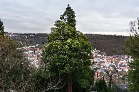 Dramatic Tree City Overcast Landscape Stuttgart Blauer Weg View Kessel Bright Stock Photos