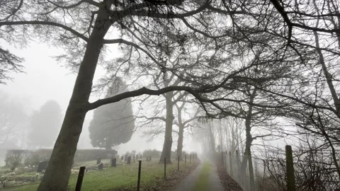 Dramatic trees in the cemetery in England - pan Stock Footage 168526091