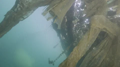 Dramatic underwater environment polluted with nylons and plastic in a lake Stock-Footage 254471170