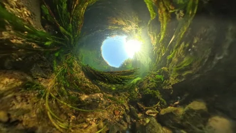 Dramatic underwater perspective in slow motion, capturing a tunnel-like view Stock Footage 291425159