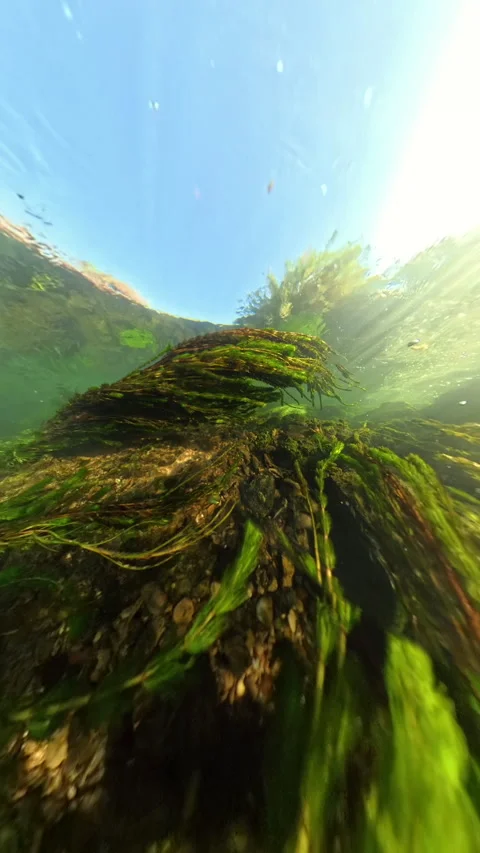 Dramatic underwater perspective in slow motion, capturing a tunnel-like view Stock Footage 291425766