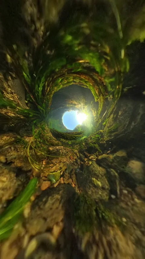 Dramatic underwater perspective in slow motion, capturing a tunnel-like view Stock Footage 291427031
