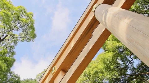Dramatic upward perspective of wooden torii gate at Meiji Shrine Tokyo Japan Stock Footage 330344904