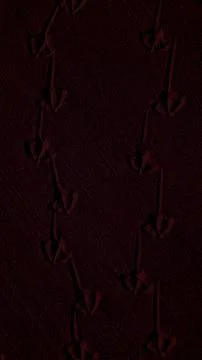 A dramatic vertical 4K background featuring dark, deep brown sandy textures.. Stock Illustration