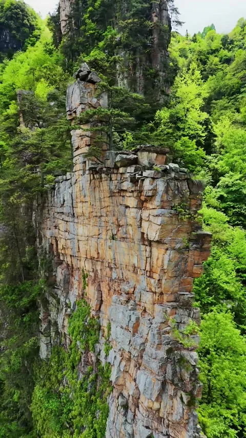 Dramatic Vertical Cliff Face Adorned with Green Trees Zhangjiajie Hunan China Stock Footage 345732359