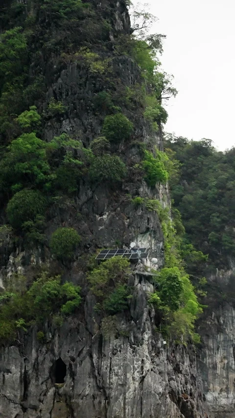 A dramatic vertical limestone cliff covered in dense greenery rises above a body Video stock 310490136