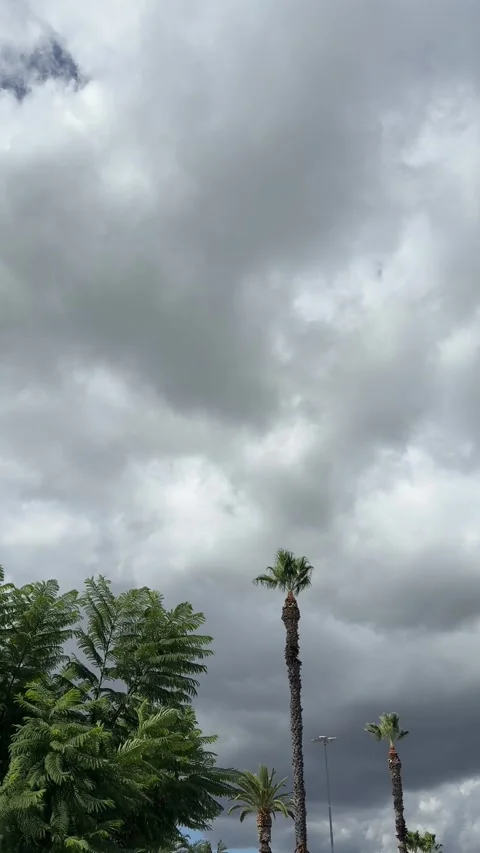 Dramatic vertical storm clouds over Los Angeles California sky 스톡 동영상 319446248