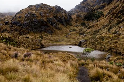 A dramatic vertical view of a trail, a lake and a foggy landscape in Cajas Na Stock Photos