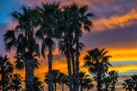 Dramatic vibrant sunset scenery in Donna Victoria Palms RV Resort, Texas Stock Photos