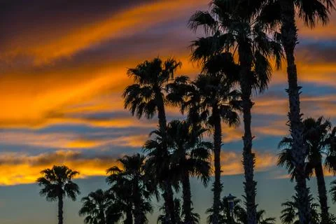 Dramatic vibrant sunset scenery in Donna Victoria Palms RV Resort, Texas Stock Photos