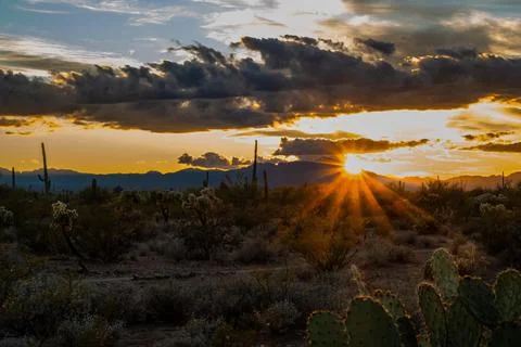 Dramatic vibrant sunset scenery in Tucson, Arizona Stock Photos