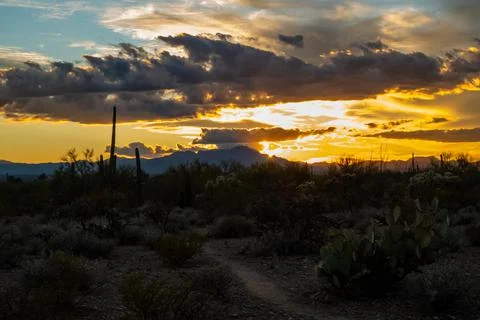 Dramatic vibrant sunset scenery in Tucson, Arizona Stock Photos