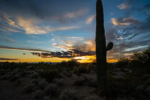 Dramatic vibrant sunset scenery in Tucson, Arizona Stock Photos