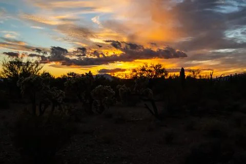 Dramatic vibrant sunset scenery in Tucson, Arizona Stock Photos