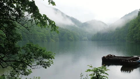 Dramatic view of Biogradsko lake in mountains of Montenegro in rainy day. Forest Video stock 261585768