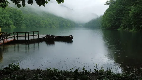 Dramatic view of Biogradsko lake in mountains of Montenegro in rainy day. Forest Video stock 261586079