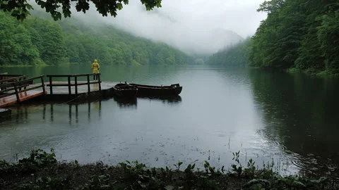 Dramatic view of Biogradsko lake in mountains of Montenegro in rainy day. Forest Stock-Footage 261586169