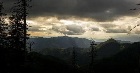 Dramatic view with dark clouds over mountain ridges and dense spruce forest.. 写真素材