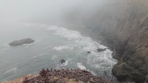 Dramatic View Down a Steep Cliff to Crashing Waves in Thick California Coastal F Video stock 318244021