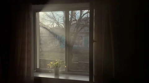 Dramatic view of house window from inside in sunny day. Stock Footage 150742567