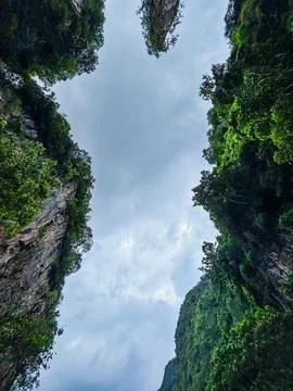 Dramatic view looking up at lush green limestone cliffs and cloudy sky Stock Photos