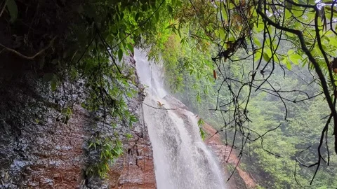 Dramatic view of magnificent jhari waterfall cascading down lush green jung.. Stock-Footage 346817074