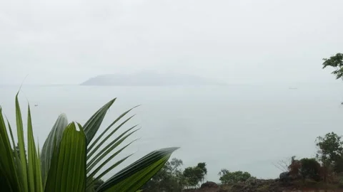 Dramatic view of a misty tropical island with palm leaves swinging. Stock Footage 131828180