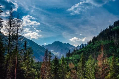 Dramatic view on the mountain peak in the valley. Foto stock