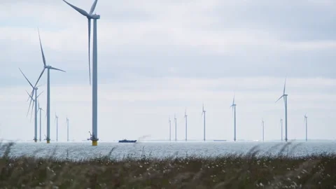 Dramatic view of an offshore wind farm in the early morning light Stock Footage 243885017