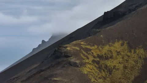 A dramatic view of a steep, dark volcanic mountain slope covered in vibrant Stock Footage 339764695