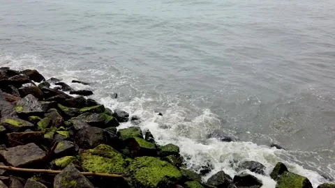 A Dramatic view of  water waves  in the Arabian sea in Kochi, India. Stock Footage 247191646