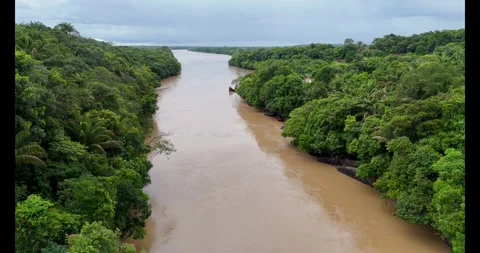 Dramatic Views of Raudal del Guayabero River Surrounded by Lush Greenery Video stock 336563940