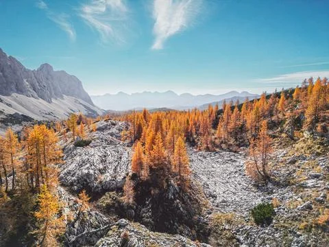 Dramatic views of red trees on rocky grounds somewhere in the Triglav national Stock Photos