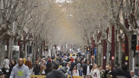 Dramatic Walking Crowd Vídeo Stock 50683248