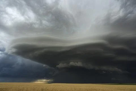 Dramatic Wall Cloud Above Wheat Field in Nebraska Stock Photos