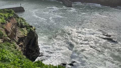 Dramatic waves in a harbour in Cornwall - Port Isaac Stock Footage 239230953