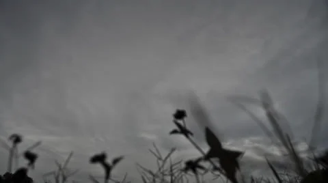 Dramatic weather approaching in the countryside Stock Footage 22480856