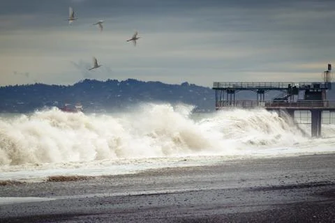Dramatic weather - storm on sea, waves break about  pier, birds fly in sky. Stock Photos