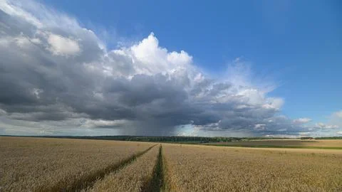 A Dramatic wheat Field Set Against a Dynamic and Beautiful Cloudscape in the Sky Stock Photos