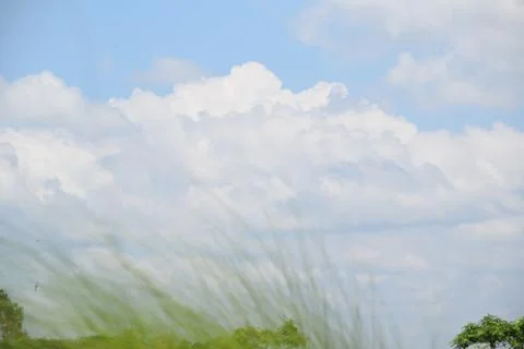 Dramatic White Clouds Above Wind Blown Grass Under Blue Sky Stock Photos