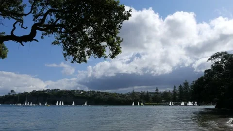 Dramatic white sails against a suburban coastline Stock Footage 223960959