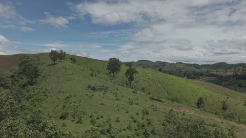 Dramatic Wide Aerial of Tropical Forest Meeting Open Pasture, Mountain Rang.. Vídeos de archivo 337600756