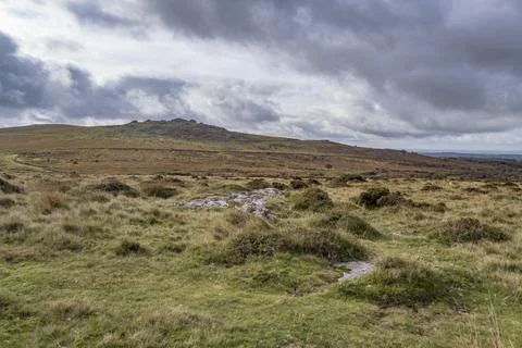 Dramatic wild Dartmoor Fotos Stock