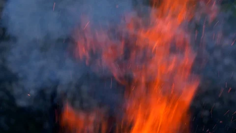 Dramatic wildfire at night Video stock 89818029