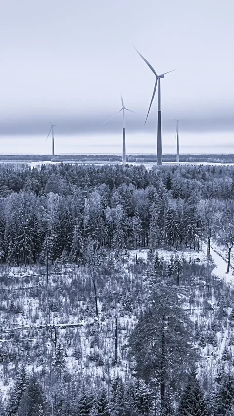 Dramatic Winter Hyperlapse of Windmills in a Snowy Forest Landscape Vidéo 331061561